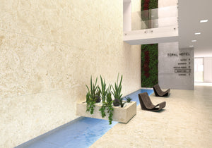 Coralina Collection