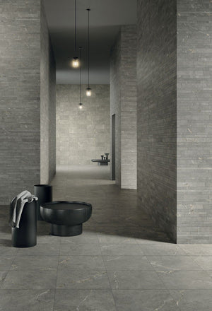 Anthology Collection