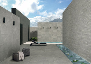 Anthology Collection