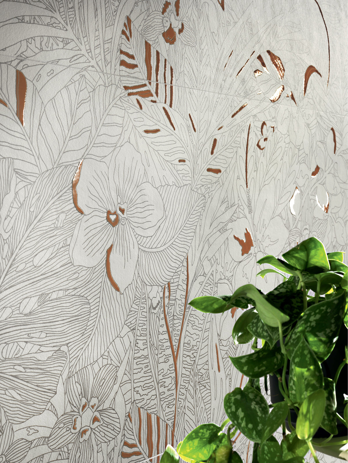 Mirabilia Collection