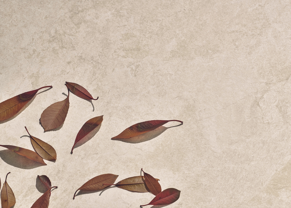 Quartz Essence Collection