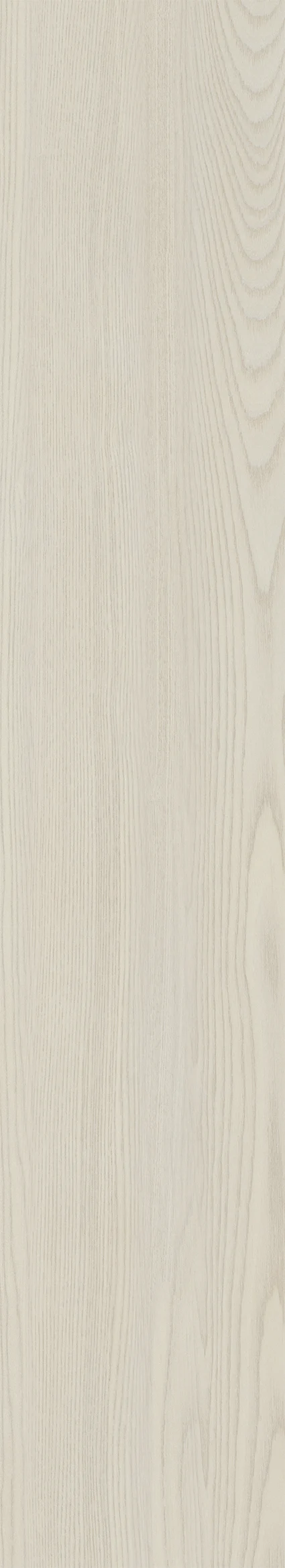 Olmo Collection