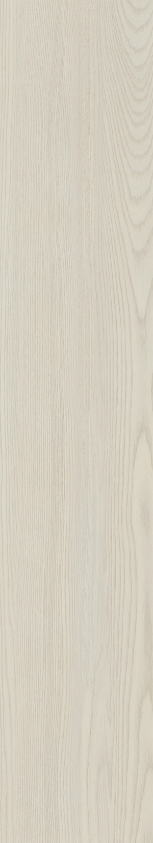 Olmo Collection