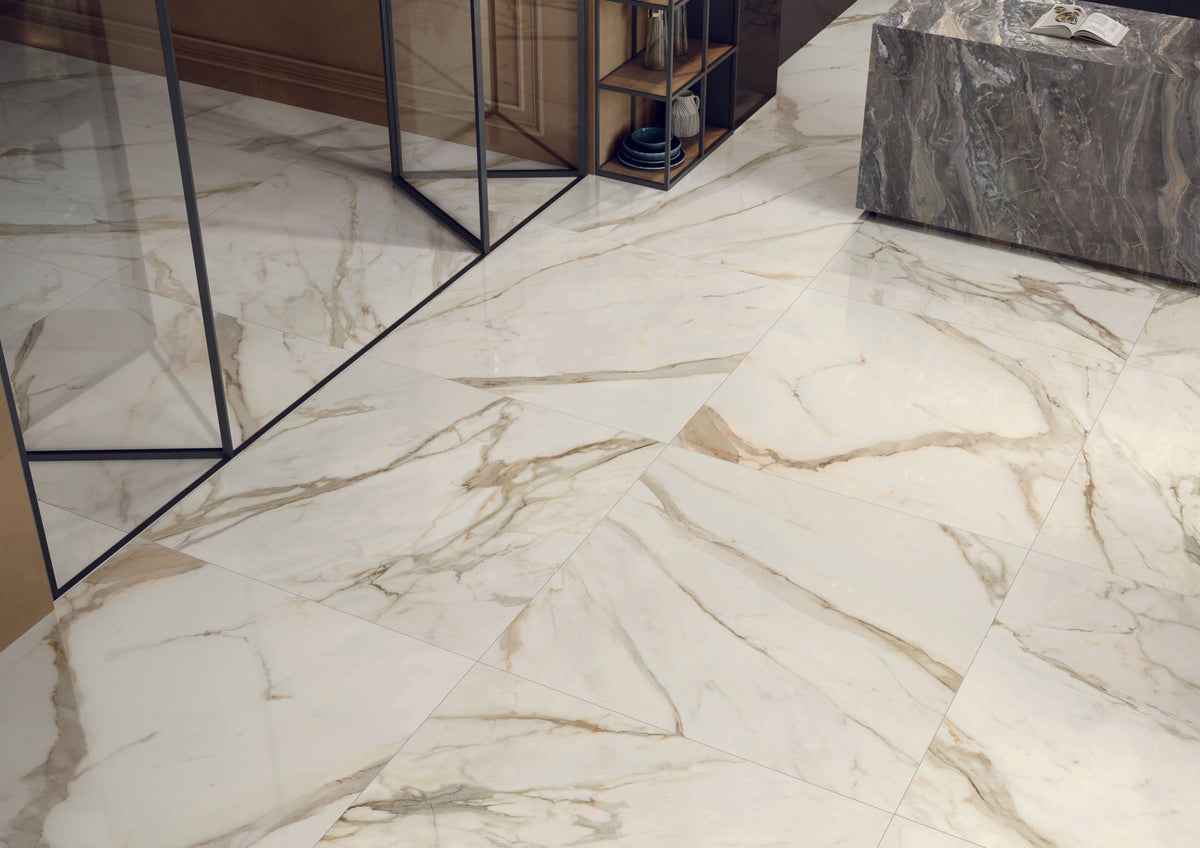 Anima Futura Collection