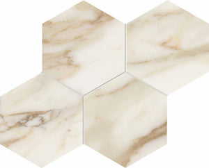 Anima Futura Collection