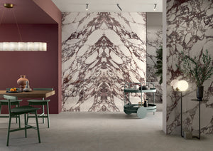 Noblesse Collection