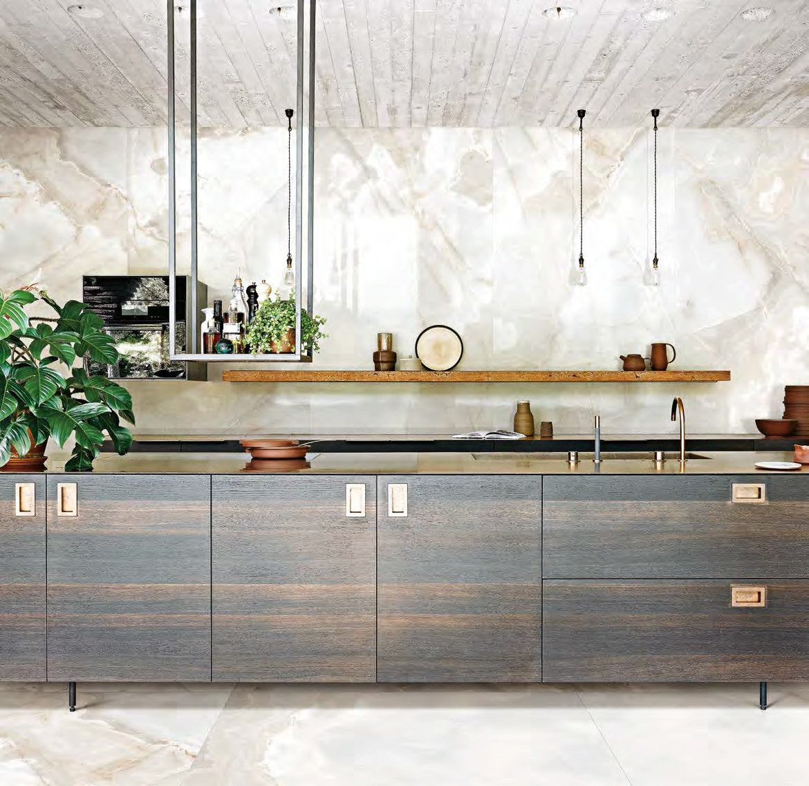 Reve De Rex Collection