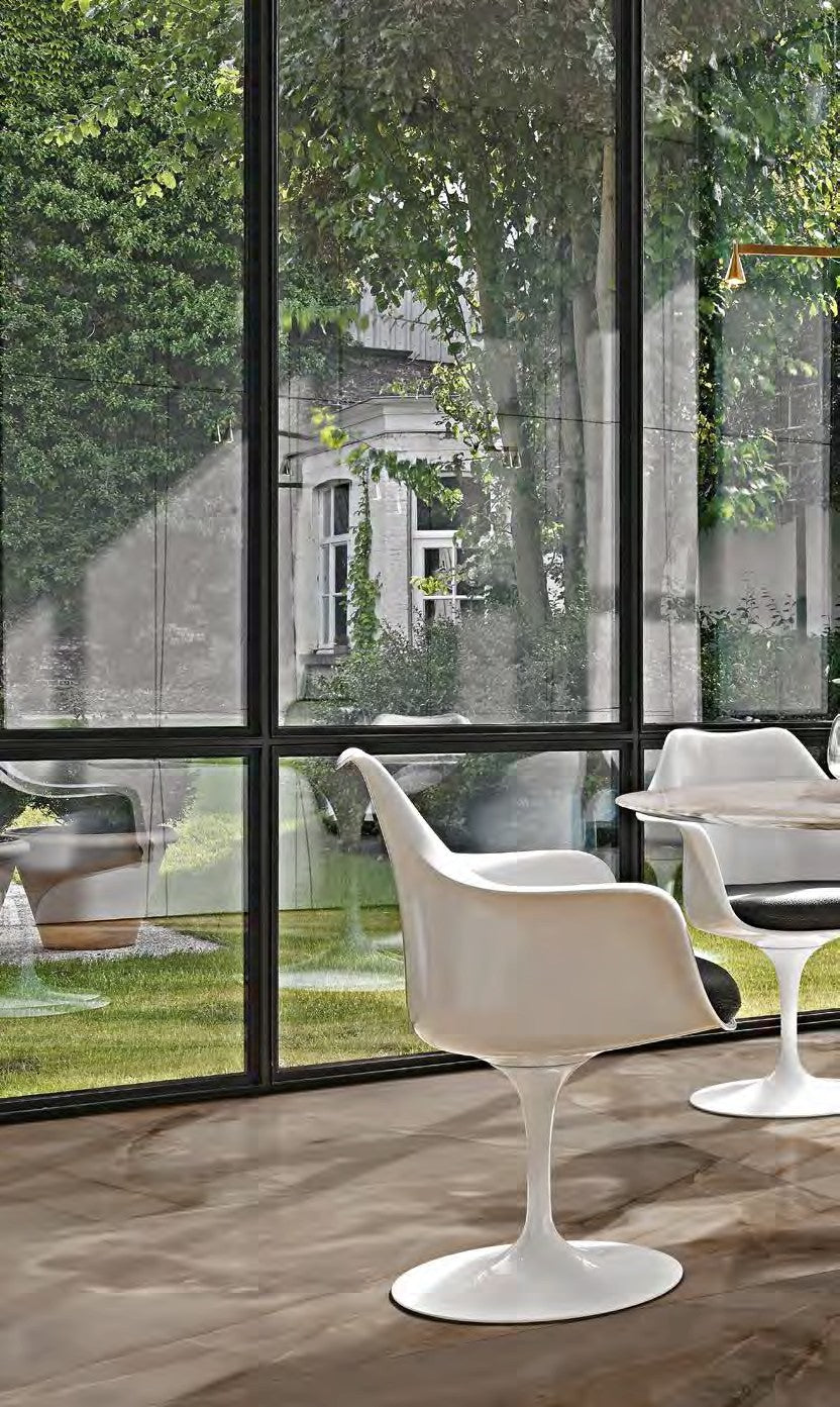 Reve De Rex Collection