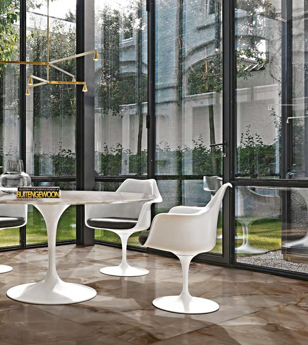 Reve De Rex Collection