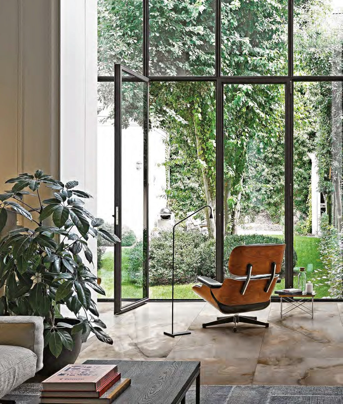 Reve De Rex Collection