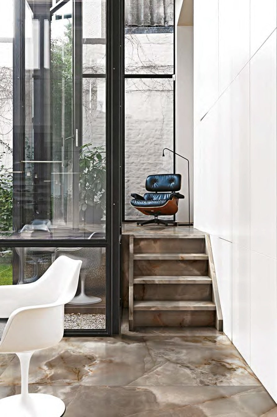 Reve De Rex Collection