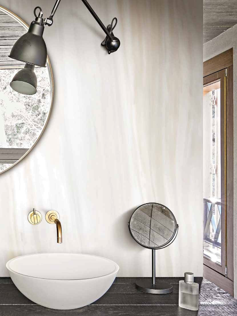 Les Origines de Rex Collection