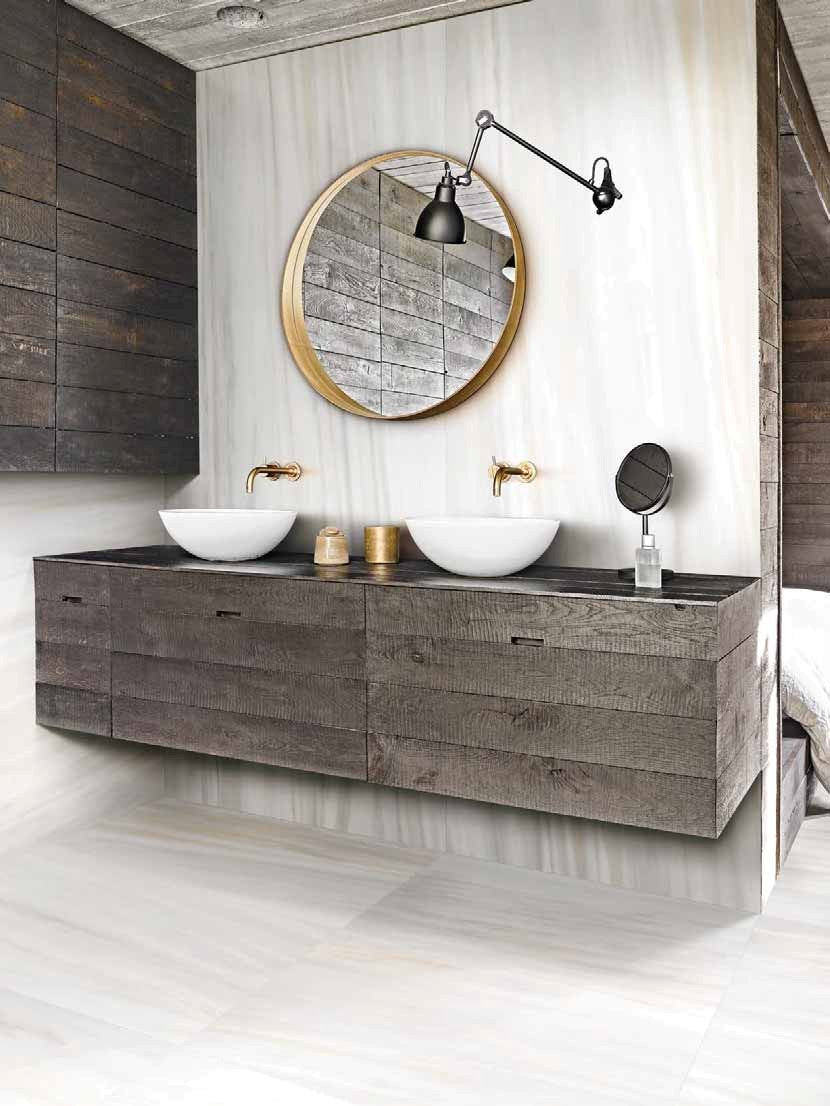 Les Origines de Rex Collection