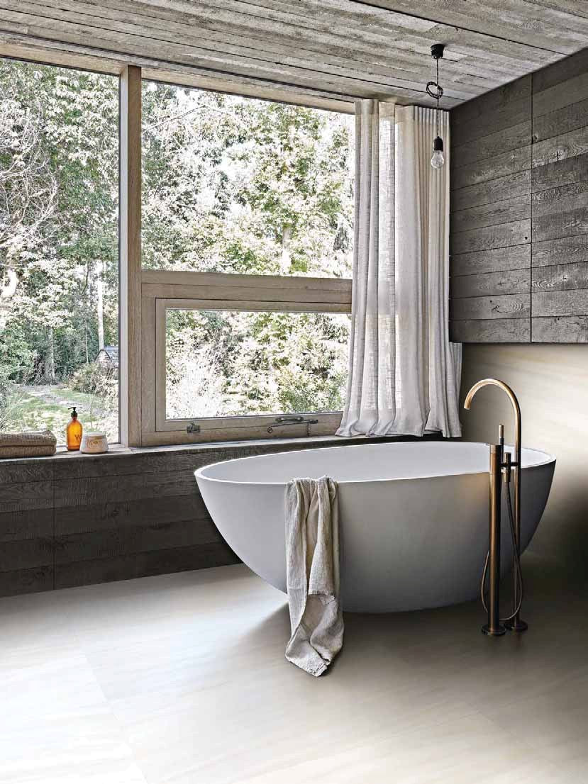 Les Origines de Rex Collection