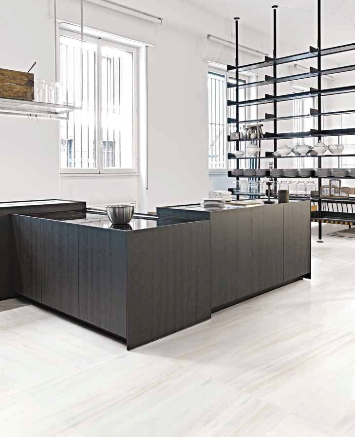 Les Origines de Rex Collection