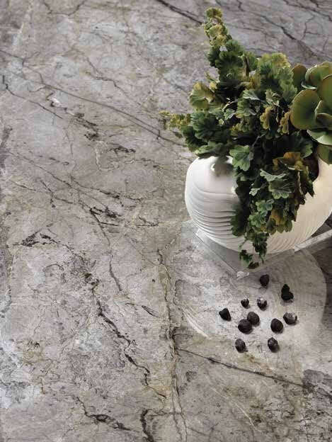 Cosmopolitan Collection